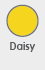 Daisy